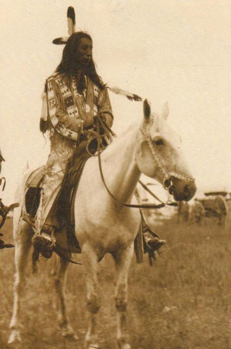 Jack Red Cloud, 1909 , by Frederick Weygold Native American Horses, American Indian History, Native American Men, Native American Pictures, Native American Photos, Red Cloud, Indigenous Americans, Native American Peoples, Native American Heritage