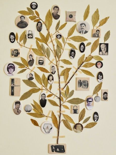 sho & tell Ancestry Wall, Ancestry Art, Family Tree Collage, Genealogy Crafts, Genealogy Tree, Tree Collage, 잡지 레이아웃, Family Tree Art, Family Tree Project