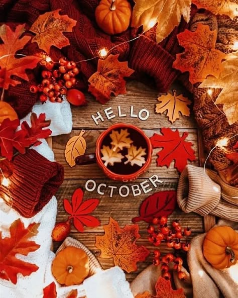 Hello October Wallpapers, Hello October Aesthetic, Hello October Images, October Images, Aesthetic Bookstagram, Whimsical Autumn, Pumpkins For Halloween, Welcome September, Gallery Aesthetic