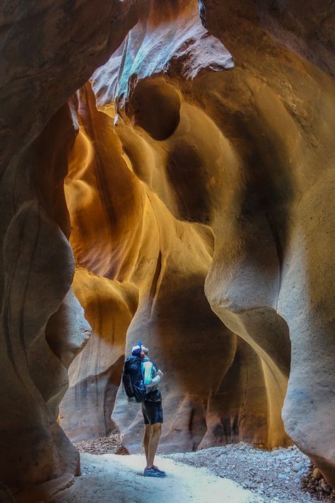 Powell Lake, Sabbatical Ideas, Buckskin Gulch, Slot Canyons Utah, Paria Canyon, Travel Utah, Vermillion Cliffs, Utah Parks, Zion Park