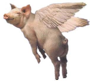 pigs - When pigs fly! Hope your day is filled with squeals of delight! Warms hogs and pig kisses Flying Pigs Art, Pig With Wings, Pig Images, Pig Tattoo, Pig Clipart, Pig Png, Flash Ideas, Pig Art, Angels Among Us