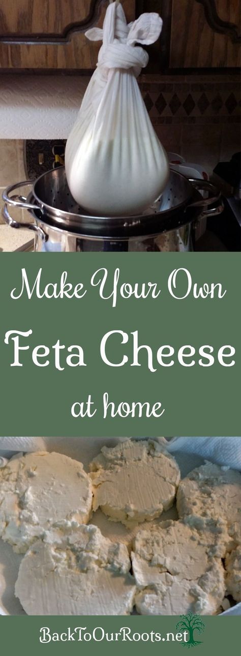 How to Make Feta Cheese at Home Make Feta Cheese At Home, Make Feta Cheese, Homemade Feta Cheese, Homemade Feta, Homemade Cheeses, Cheese Recipes Homemade, Cheese Making Recipes, Cheese At Home, Making Cheese