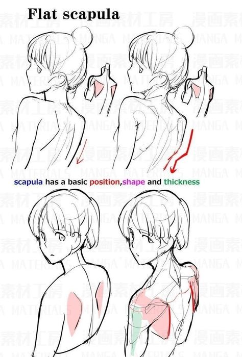 Torso Tutorial, Manga Tips, Reference Study, Drawing Help, Body Drawing Tutorial, Body Reference Drawing, 캐릭터 드로잉, Anatomy Drawing, Figure Drawing Reference