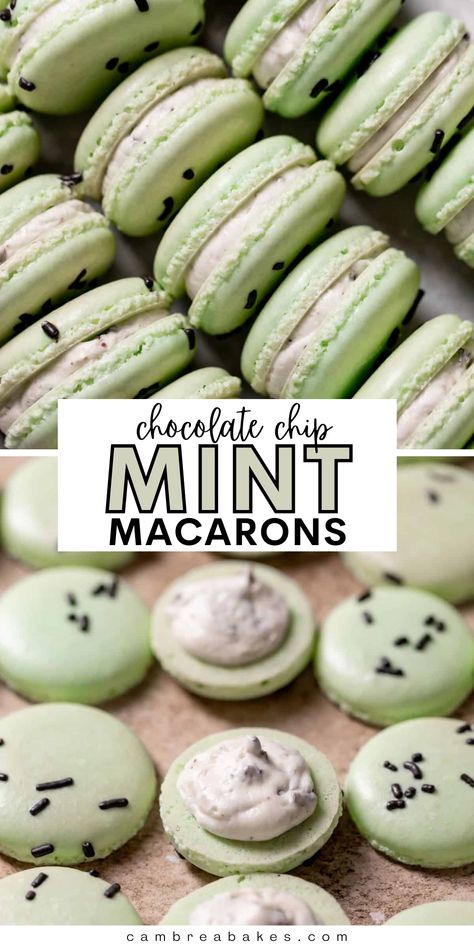 These mint chocolate chip macarons are mint chocolate chip ice cream cake in macaron form! This chewy fool-proof macarons recipe is filled with chocolate chip peppermint buttercream and are perfect for any occasion. | Cambrea Bakes Mint Chocolate Chip Buttercream, Mint Chocolate Chip Macarons, Mint Chocolate Macarons, Macaroon Filling Recipe, Chocolate Chip Ice Cream Cake, Mint Chocolate Chip Ice Cream Cake, Mint Macarons, Cambrea Bakes, Peppermint Buttercream