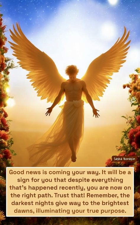 Angel Messages For Me Today, Gnostic Quotes, Sasha Bonasin, Vibrational Alignment, Twin Flame Love Quotes, Angel Light, Light Beings, Archangel Prayers, Angel Tarot Cards