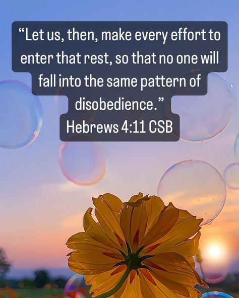 “Let us, then, make every effort to enter that rest, so that no one will fall into the same pattern of disobedience.” ‭‭Hebrews‬ ‭4‬:‭11‬ ‭CSB‬‬ God rested on the 7th day. God created the sabbath for man, not the man for sabbath. God prioritizes rest and so should we. How can you rest one day this week to honor and obey God? ⬇️✨ - I am going to spend all day Sunday worshipping Him #worship #sabbath #obeyGod #Rest #christianlifestyle #holyhabits #verseoftheday Honor The Sabbath Day, The Sabbath Day, Hebrews 4, Obey God, Sunday Worship, Sabbath Day, Verse Of The Day, How Can, Worship