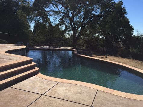 Pebble Sheen Turtle Bay. Turtle Bay Pebble Sheen Pool, Pool Resurfacing, Pool Finishes, Pool Colors, Pond Water Features, Turtle Bay, Water Water, Water Features, Pool