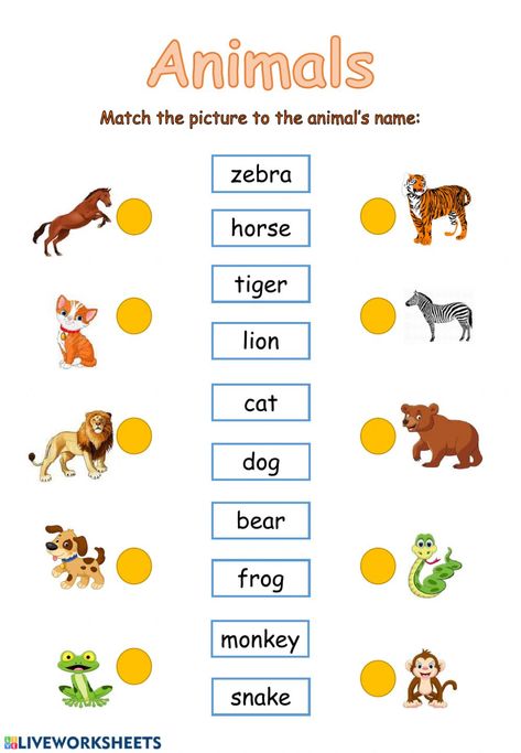 English as a Second Language (ESL) online worksheet and pdf. This is an interactive activity for teachers and students. It can be filled online or downloaded as pdf Worksheets For Ukg Evs, Esl Animals Worksheet, Animal Worksheets For Kids, English Exercises For Kids, Animal Exercises, Animals Worksheets For Kids, Animals Worksheet, English Worksheets For Kindergarten, Animal Learning