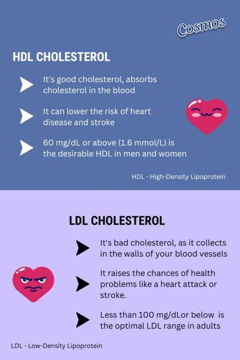 HDL Cholesterol and LDL Cholesterol Comparison Hdl Ldl, Hdl Cholesterol, Ldl Cholesterol, Blood Vessels, Healthy Foods To Eat, Health Problems, Disease, India, Health