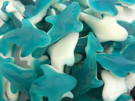 Gummy Sharks, 5 Pounds, Gourmet Food, Sea Animals, Sharks, Sea Creatures, Paradise, Animals, Blue