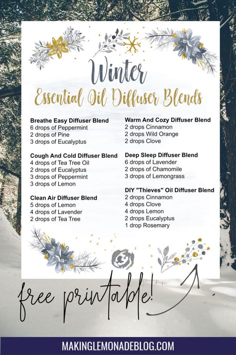 Grab this FREE Winter Essential Oil Diffuser Recipes printable full of ideas for using your diffuser to boost your mood and wellness! Making Lemonade, Essential Oil Combinations, Essential Oil Diffuser Blends Recipes, Essential Oils Guide, Essential Oil Diffuser Recipes, Oil Diffuser Recipes, Essential Oil Blends Recipes, Essential Oil Mixes, Diffuser Blend