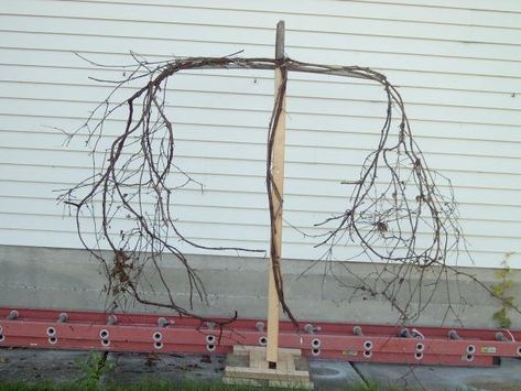 The making of Pumpkin Rot! | Halloween Forum Scarecrow Reference, Colonial Halloween, Halloween Garden Decorations, Pumpkin Scarecrow, Halloween Lawn, Halloween Forum, Halloween Props Diy, Yard Haunt, Halloween Scarecrow