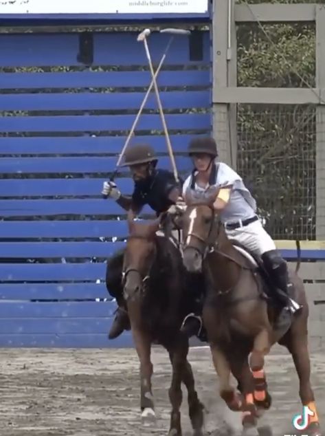 Polo is the sport of kings. It also requires an incredible amount of skill and horsemanship. It's no wonder these players always remember to mind their melons! Sport Of Kings, Always Remember, Melon, Equestrian, Mindfulness, Horses, The Incredibles, Wonder, Animals