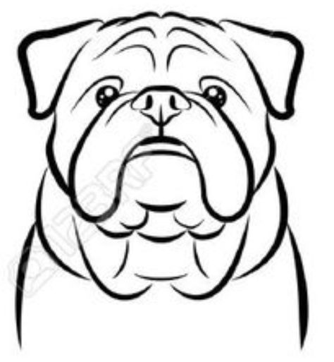 English Bulldog Drawing, Bulldog Outline, Tangled Painting, Mini Bulldog, Bulldog Drawing, Bulldog Art Print, Bulldog Clipart, Bulldog Tattoo, Dog Outline