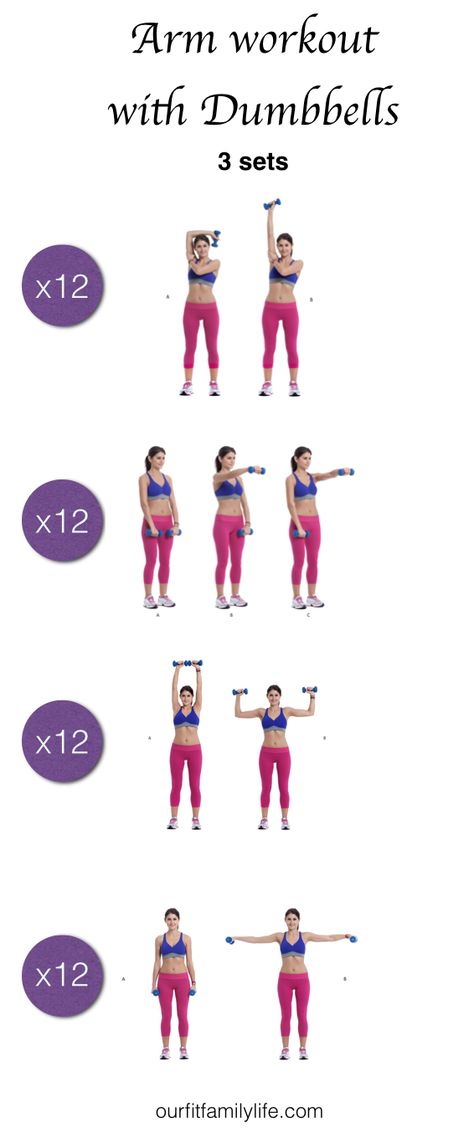 3 sets - 12 reps each exercise. 5lbs dumbbell set. Train from home More tips: www.ourfitfamilylife.com Dumbell Exercise Women, 8lb Dumbell Workout, Dumble Workout Women, Sitting Dumbbell Exercises, Diy Dumbbells, Boxing Exercises, Diy Dumbbell, Arm Workout For Beginners, Dumbell Workout