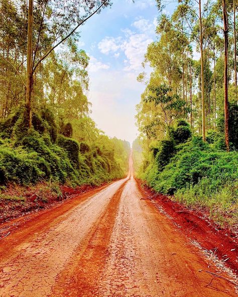 El Dorado Misiones Argentina Argentina Travel, Moon Art, Latin America, Beautiful Gardens, Dream Life, Around The Worlds, Country Roads, Mural, Road