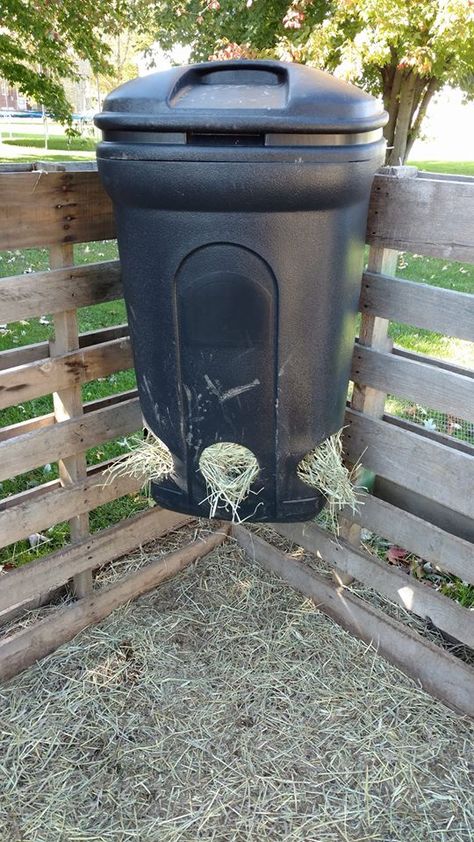 Goat Washing Station, Diy Mini Pony Shelter, Cute Goat Pen Ideas, Diy Horse Stall Hay Feeders, Goat Hay Feeder Ideas, Donkey Paddock Ideas, Goat And Chicken House, Goat Pens Ideas Shelters, Diy Goat Enclosure