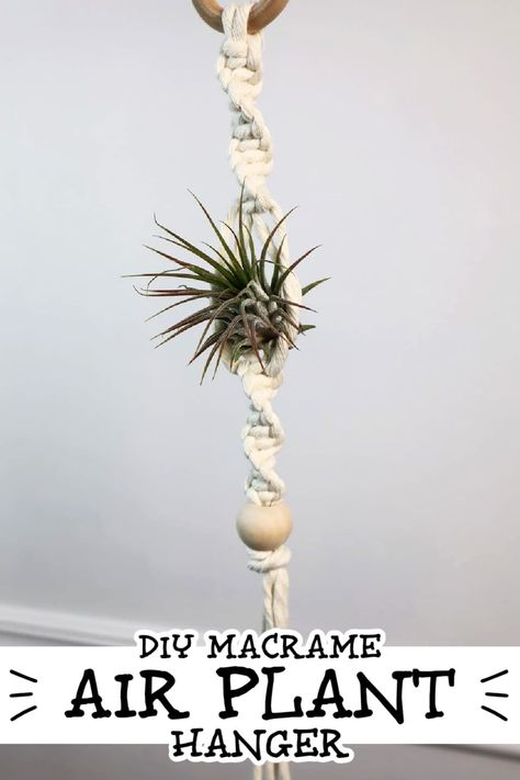 Learn how to make this easy DIY Macrame Air Plant Holder in this step by step Tutorial & Video! This free pattern is a great beginner project | macrame for beginners | free macrame patterns | air plant holder | DIY air plant hanger Macrame Patterns Pots & Planters, Macrame Airplant Holder Diy, Macrame Air Plant Hanger Tutorial, Tassel Free Macrame Plant Hanger, Crochet Air Plant Hanger Free Pattern, Mini Macrame Air Plant Hanger Diy, Air Plant Hanger Macrame, Air Plant Macrame Hanger Diy, Air Plant Hanger Diy