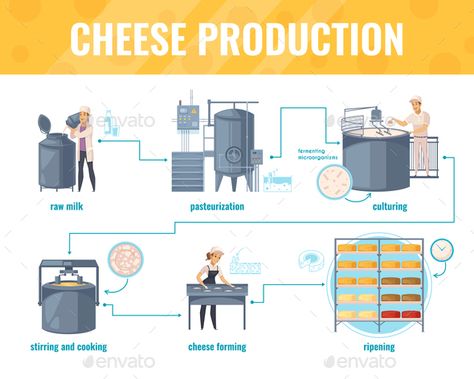 Cheese production cartoon infographics on white background with processing line including milk pasteurization, product ripening, v Dairy Shop, Cheese Drawing, Milk Processing, Cheese Factory, Factory Architecture, School Murals, Baking Cookies, Gym Workout Videos, Marketing Template