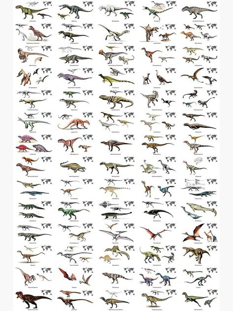 Póster de dinosaurios carnívoros con nombres y mapas. En el mapa se muestra el lugar donde vivían estos reptiles prehistóricos depredadores. Dinosaurs Poster, Dinosaur Posters, Decorate Your Room, Poster Making, Dinosaurs, Reptiles, A P, Sale Poster, Mosaic