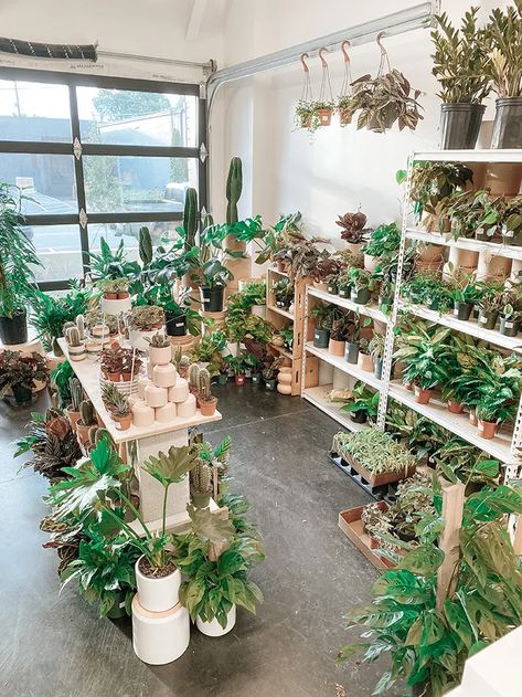 Greenhouse Shelving Ideas, Greenhouse Shelving, Make A Greenhouse, Backyard Cafe, Homemade Greenhouse, Beautiful Greenhouse, Plant Business, Plant Shops, Cactus Club