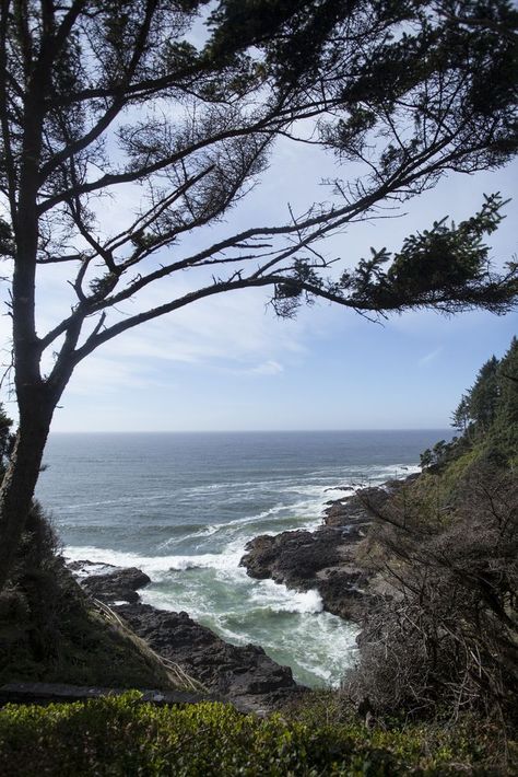 15 Best Things to Do in Yachats, OR Oregon Coast Aesthetic, Aesthetic Town, Oregon Aesthetic, Yachats Oregon, Manifesting 2024, Coast Aesthetic, Outdoor Aesthetic, Central Oregon, Anniversary Trips