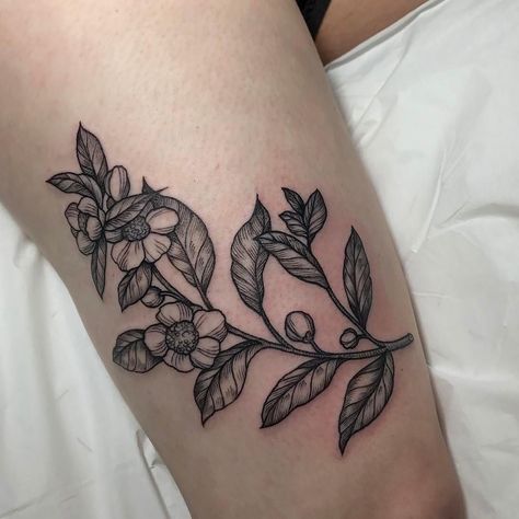 Tea plant by @inkbrambles at @blackoaktattoo in Chicago  IL. . #tattoosnob #tattoo #tea #chicago #chicagotattooartist Tea Flower Tattoo, Tea Leaves Tattoo, Tea Tattoos, Tokyo Tattoo, Green Tea Plant, Medium Size Tattoos, Tea Tattoo, Leaves Tattoo, Tea Plant