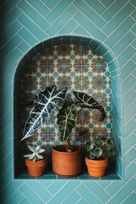 Terracotta Bathroom Ideas, Alocasia Plant, Justina Blakeney, Jungalow Style, Fireclay Tile, Tile Trends, Shower Niche, Botanical Wallpaper, Handmade Tiles