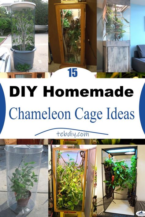 Chameleon Enclosure Ideas Diy, Chameleon Habitat Ideas, Diy Reptile Cage, Veiled Chameleon Enclosure, Diy Chameleon Enclosure, Chameleon Enclosure Ideas, Diy Chameleon Cage, Reptile Room Ideas, Chameleon Cage Ideas