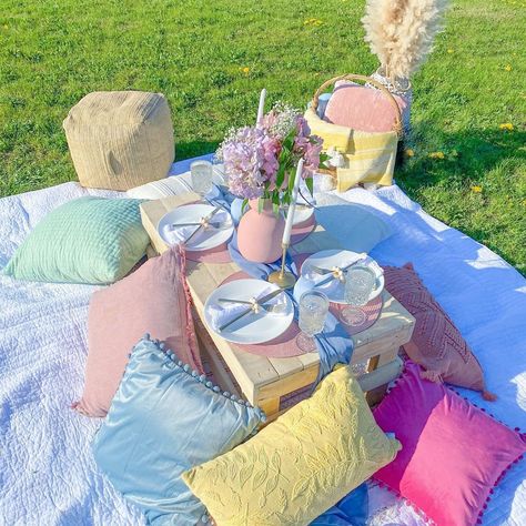 Pastel Picnic Birthday, Pastel Picnic, Picnic Decorations, Pastel Party, Candy Theme, The Picnic, 19th Birthday, Birthday Party Celebration, Picnic Mat