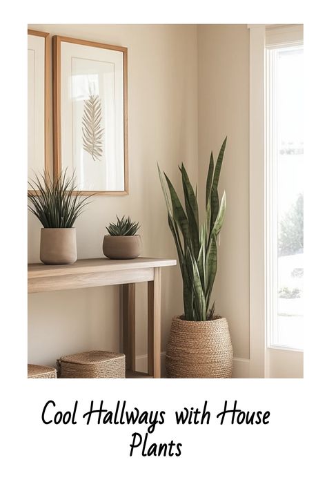 Stylish hallway with house plants and framed art. Corridor Plants, Best House Plants, Hallway Design Ideas, Large Entryway, Welcoming Entryway, Bird Of Paradise Plant, Paradise Plant, Hallway Design, Small Bench