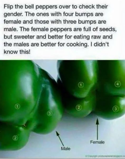 Green Peppers, Astuces Diy, Food Info, Cooking Hacks, Eating Raw, Food Facts, Bell Pepper, Food Tips, Stuffed Green Peppers