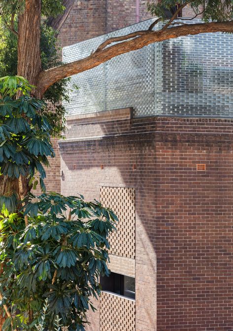 Extruding The Traditional Red Brick Exterior Upwards Into A Crown Of Glass Bricks That Are Softly Illuminated At Night, Semi Translucent Red Brick Exteriors, Red Brick House, Glass Brick, Brick Architecture, Australian Architecture, Street House, Architecture Awards, Brick Facade, Brick Building