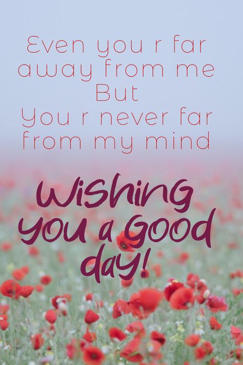 Wishing you a #good day! Wish You A Good Day, Wishing You A Beautiful Day, Good Day Wishes, Good Day Messages, Morning Funny, Good Morning Funny, Good Day Quotes, Cute Animal Clipart, Morning Flowers