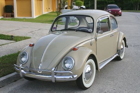 Volkswagen Sedan, Volkswagen Beetle Vintage, Vw Super Beetle, Vw Sedan, Volkswagen Bug, The Beetle, Vw Beetle Classic, Vintage Volkswagen, Vw Cars