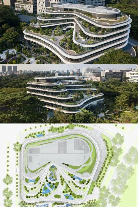 Office Building Plans, Office Design Concepts, Ideas For Small Apartments, Curve Building, Decorating Office, Biophilic Architecture, Singapore Architecture, Hotel Design Architecture, Terrace Park