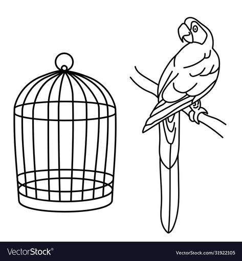 Parrot In Cage Drawing, Parrot In Cage, Cage Drawing, Parrot Drawing, Line Vector, Macaw Parrot, Outline Drawing, Outline Drawings, Drawing Easy