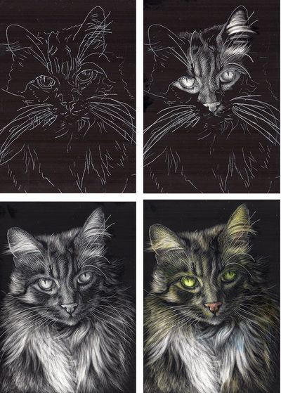 Scratchboard Animals, Designs For Drawing, Scratchboard Drawings, How To Draw Realistic, Scratchboard Art, Draw Realistic, Black Paper Drawing, Romantic Paintings, Scratch Art