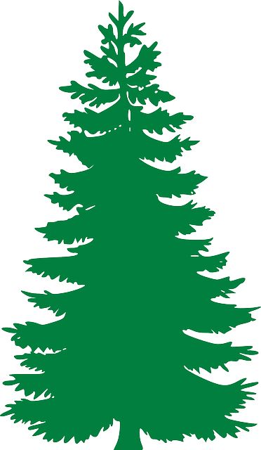 Free Image on Pixabay - Fir, Evergreen, Trees, Silhouette Silhouette Chat, Trees Silhouette, Christmas Tree Designs, Christmas Tree Silhouette, Tree Outline, Tree Stencil, Christmas Stencils, Silhouette Clip Art, Cricut Christmas