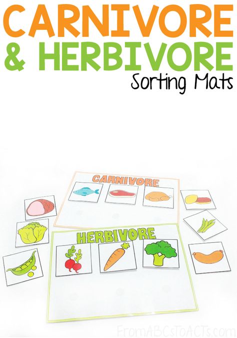 Whether your preschooler or kindergartner is interested in learning more about dinosaurs or the animals that currently make up the wildlife around us, this carnivore and herbivore sorting activity is the perfect way to add a little science to your day!  #FromABCsToACTs Carnivore Herbivore Omnivore Worksheets, Dinosaur Vocabulary Preschool, Pet Or Wild Animal Sorting Free, Herbivore Carnivore Omnivore Activities Dinosaur, Herbivores Animals Worksheet, Carnivores Herbivores Omnivores, Social Studies Education, Social Stories Preschool, Teaching Geography