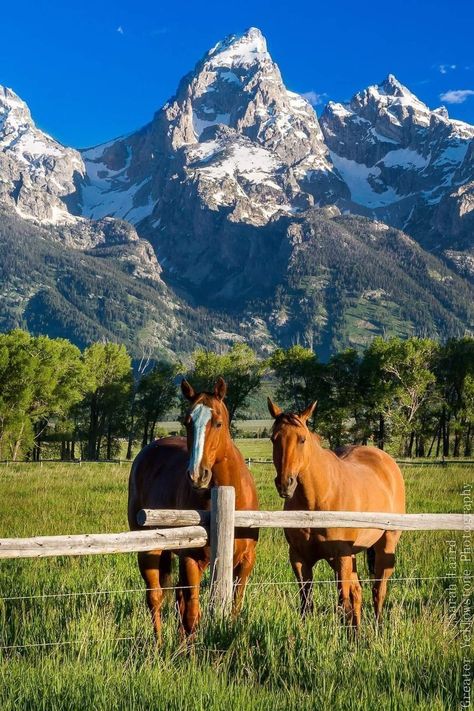 Montana Ranch Aesthetic, Ranch Life Country Living, Ranches In Montana, Wyoming Farm, Ranch Life Aesthetic, Rancho Aesthetic, Wyoming Aesthetic, Setting Aesthetic, Montana Aesthetic