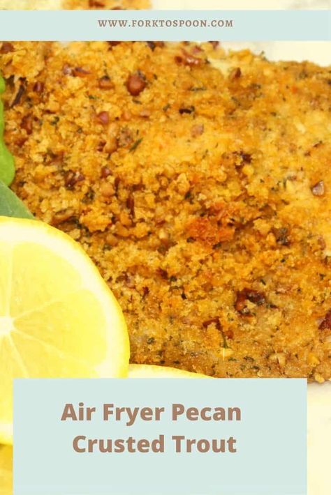 Air Fryer Pecan Crusted Trout - Fork To Spoon Pecan Crusted Trout Recipe, Crusted Trout Recipes, Trout Fillet Recipes Air Fryer, Air Fryer Steelhead Trout Recipe, Air Fryer Trout Fillets, Steel Head Trout Recipes Air Fryer, Trout Air Fryer Recipes, Steelhead Trout Recipe Air Fryer, Air Fryer Trout Recipes