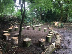 Forest schools Forest School Area, Forest School Ideas, Foto Outdoor, Forest Classroom, Outdoor Kids Play Area, Outdoor Learning Spaces, Forest School Activities, Outdoor Play Spaces, Outdoor Nursery