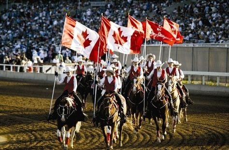 Things to do in Calgary Calgary is a city in the province of Alberta, Canada. The city got that named after Calgary on the Isle of Mull, Scotland. Calgary among the largest c...  #BankersHall #BattalionPark #BestThingstodoinCalgary #BurnsBuilding #CalawayPark #Calgary #CalgaryAttractions #CalgaryStampede #CalgaryTower #CalgaryZoo #CanadaOlympicPark #ChinookCentre #ConfederationPark... Things To Do In Calgary, Places To Visit In Canada, Places In Canada, Wallpapers Nature, Beautiful Countries, I Am Canadian, Calgary Stampede, Celebration Around The World, O Canada