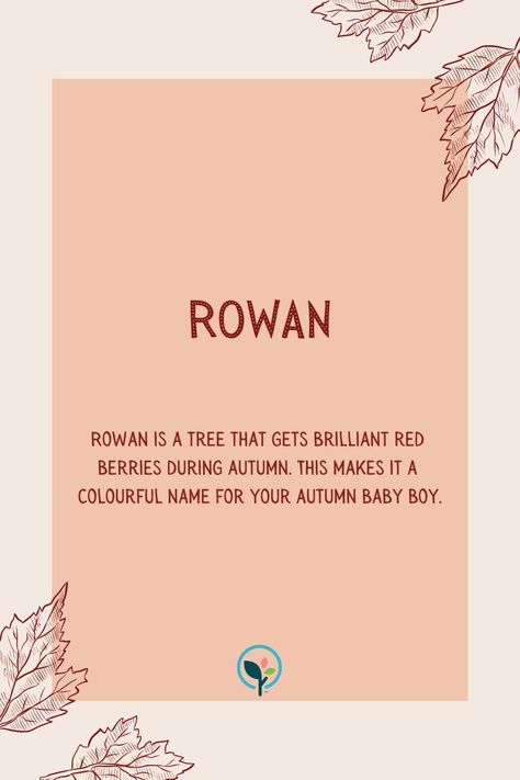 Rowan Name Meaning, Rowan Meaning, Rowan Baby Name, Autumn Names, Rowan Name, Autumn Name, Lil Nugget, Names Boy, Names For Boys