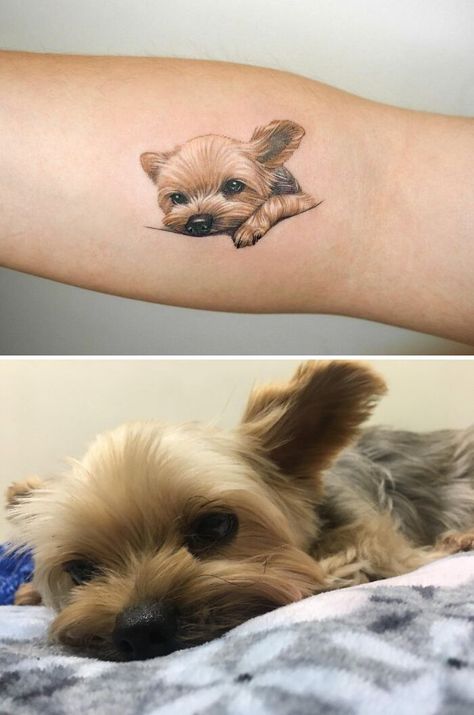 Yorkie Paw Print Tattoo, Ankle Dog Tattoo, Creative Dog Tattoo Ideas, Rat Terrier Tattoo, Pet Tattoo Ideas Dogs, Pet Tattoos Memorial, Yorkie Tattoo Ideas, Yorkie Tattoos, Yorkshire Terrier Tattoo