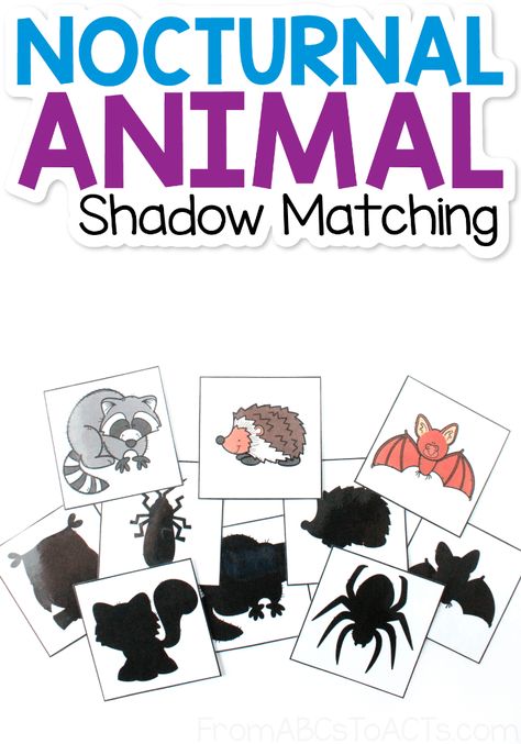 Learn about the animals that come out at night! Match the nocturnal animals to their shadows with this fun, printable matching game! #FromABCsToACTs Nocturnal Animal Math Activities, Forest Animal Silhouette Free Printable, Nocturnal Animals Anchor Chart, Nocturnal Animals Gross Motor Activities, Night Animals Preschool Crafts, Nighttime Animals Preschool, Night Time Animals Preschool, Nocturnal Animal Sensory Bin, Night Animals Activities