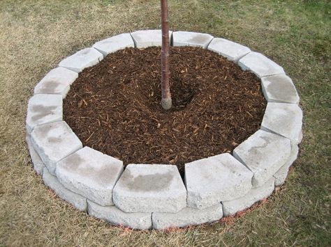 Tree, Tree Ring 45 Diy Tree Rings, Rock Landscaping Ideas Backyard, Lawn Ideas, Building A Retaining Wall, Landscape Pavers, Landscaping Around Trees, Wall Tree, Rock Landscaping Ideas, Backyard Designs