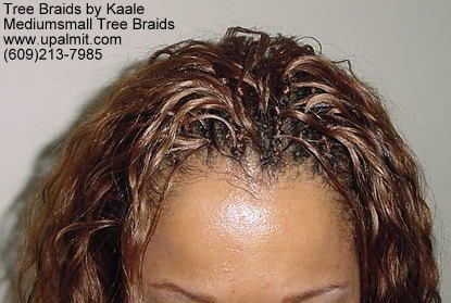 All Types of Tree Braids- Curly, Straight, and Wavy Treebraids With Human Hair, Treebraids Hairstyles, It Girl Hair, Tree Braids Hairstyles, Track Hairstyles, Individual Braids, Hair Relaxers, Tree Braids, Single Braids