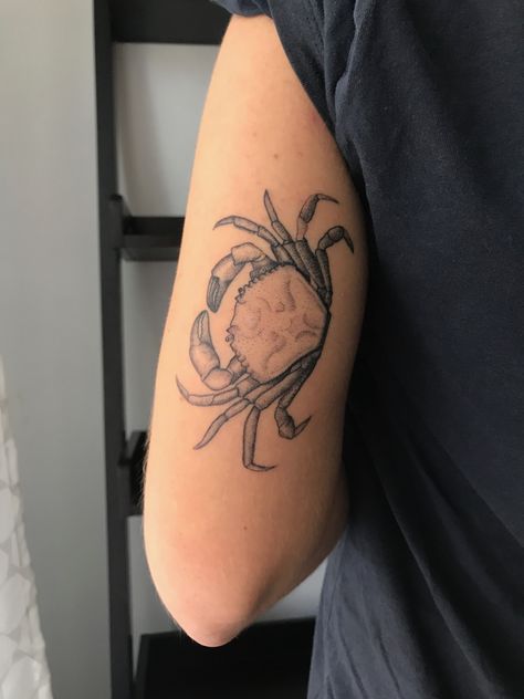 #tattoos #tattooist #marthasmithtattoo #dotwork #dotworktattoo #dotworkers #london #cutetattoos #delicatetattoo #blackwork #smalltattoos #tattoosforwomen #tattooideas #crab #crabtattoo Crab Leg Tattoo, Crab Tattoo Blackwork, Cool Crab Tattoo, Dungeness Crab Tattoo, Crab Flash Tattoo, Blue Crab Tattoo For Women, Crab Tattoo Men, Cute Crab Tattoo, Small Crab Tattoo